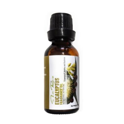 Eucalyptus Fragrance Oils